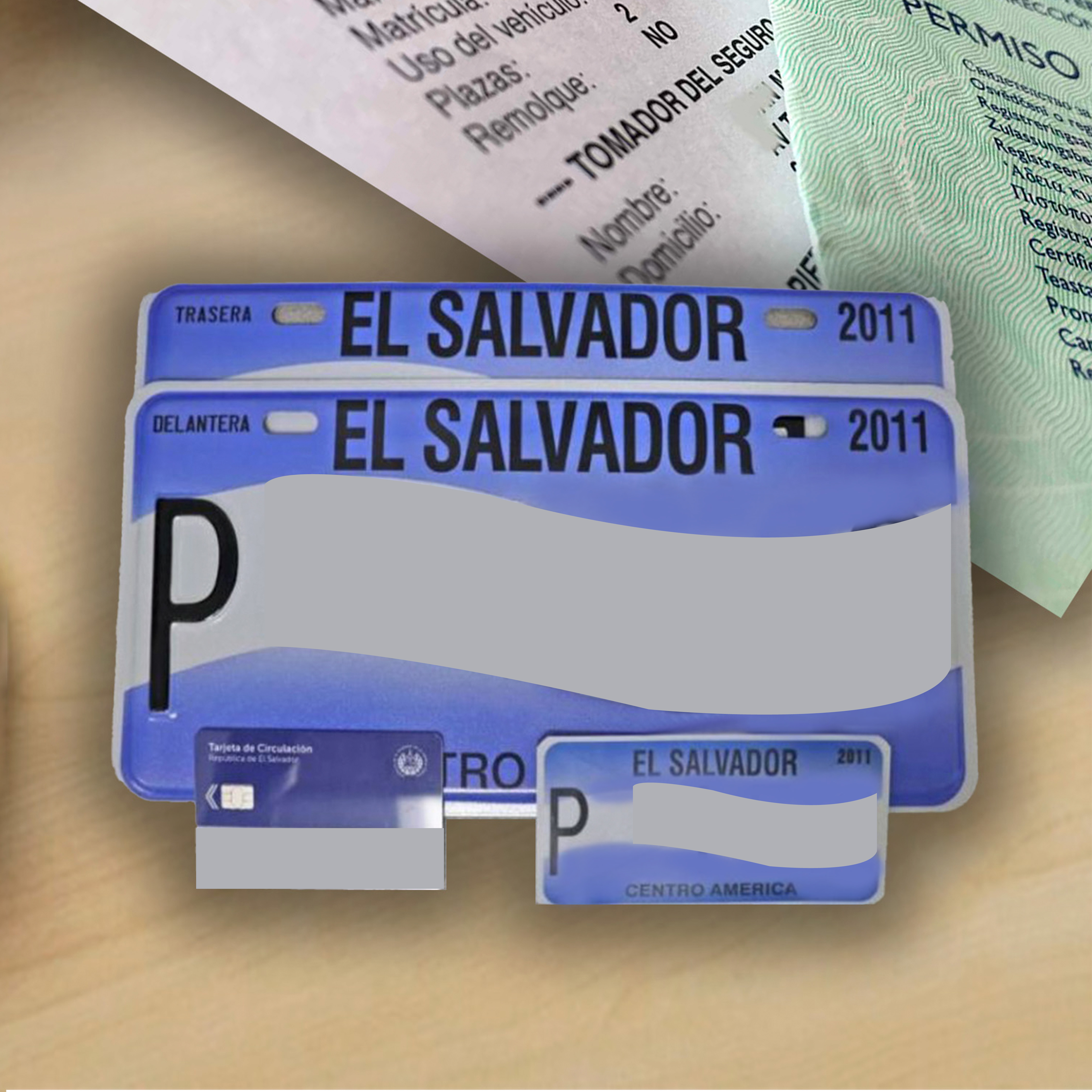 Primera Matrícula